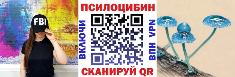 что такое наркотик  Рудня  Галлюциногенные грибы Psilocybine cubensis 